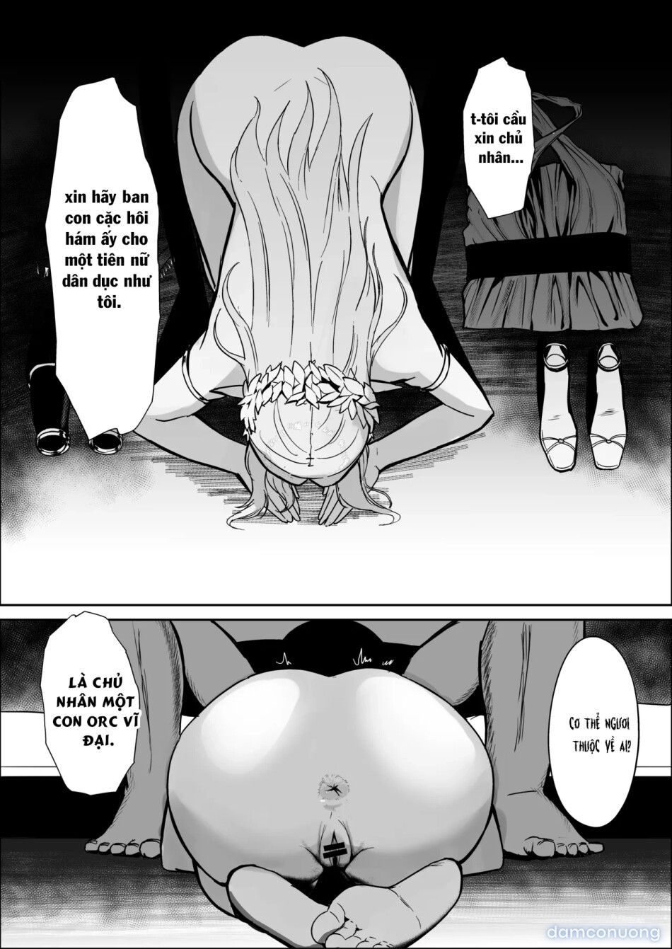 đọc truyện Torawareta Elf Touzen Seidorei No Kei Chương 0 ảnh 22 tại Thiên Thai Truyện