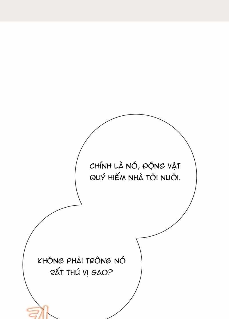 đọc truyện Trải Nghiệm Thân Mật Với Bạn Của Anh Trai Chương 39.1 ảnh 25 tại Thiên Thai Truyện