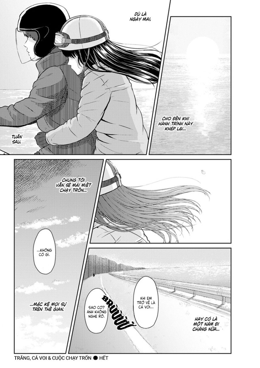 Trăng, Cá Voi & Cuộc Chạy Trốn Oneshot page 20 - Giả Dược