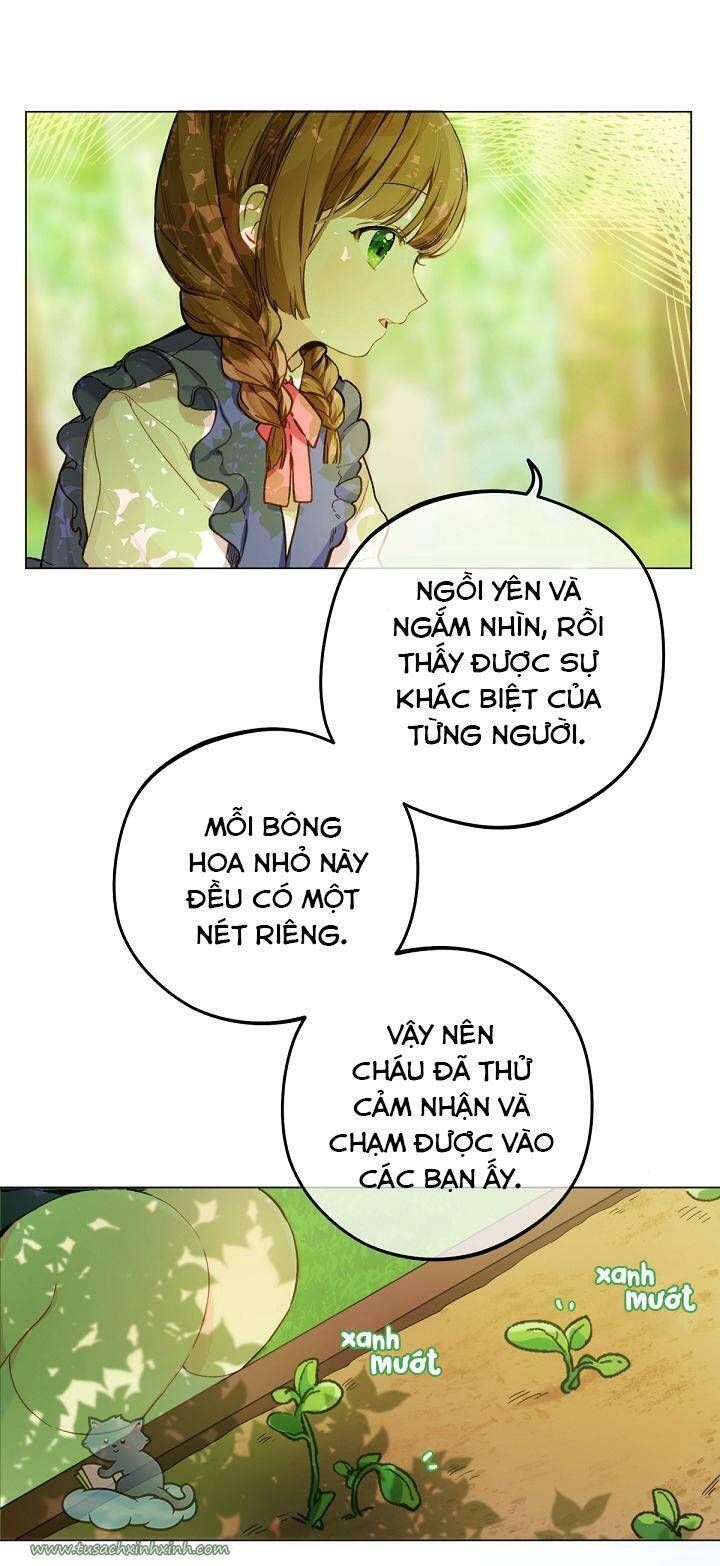 Trang Trại Hạt Dẻ Gần Cung Điện Hoàng Gia Chương 1 page 57 - Giả Dược