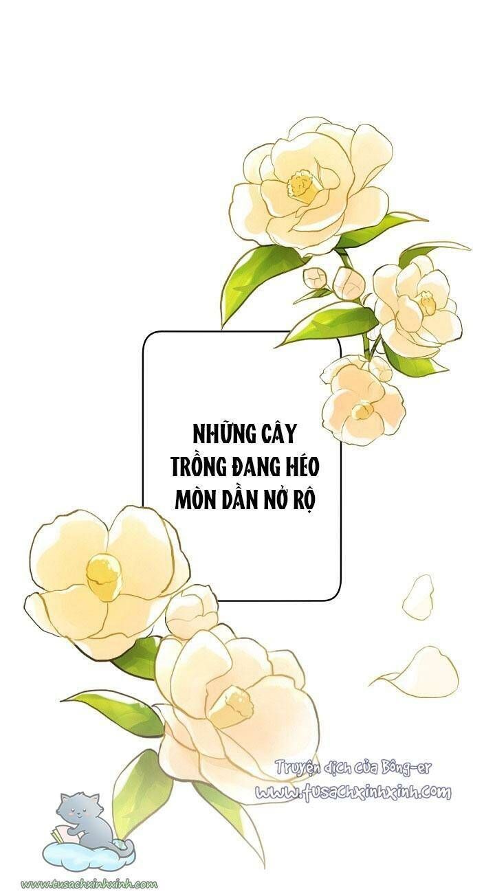 Trang Trại Hạt Dẻ Gần Cung Điện Hoàng Gia Chương 1 page 62 - Giả Dược