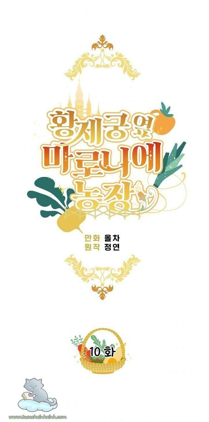 Trang Trại Hạt Dẻ Gần Cung Điện Hoàng Gia Chương 10 page 7 - Giả Dược