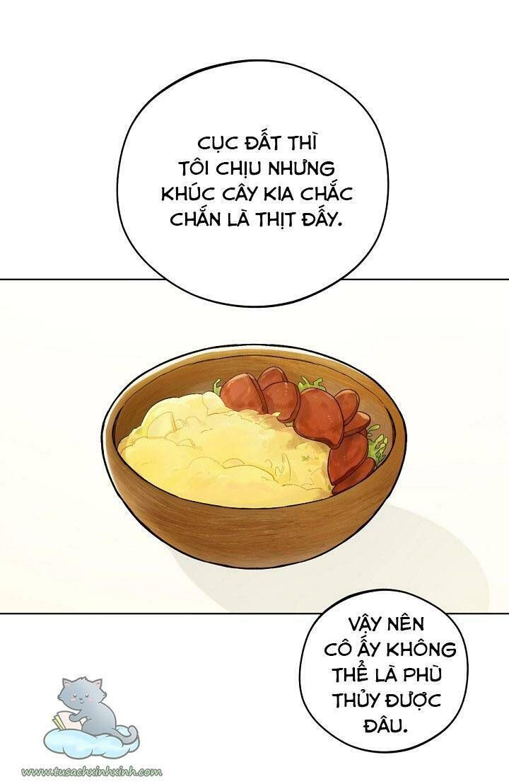 Trang Trại Hạt Dẻ Gần Cung Điện Hoàng Gia Chương 11 page 11 - Giả Dược