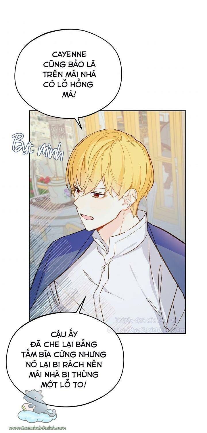 Trang Trại Hạt Dẻ Gần Cung Điện Hoàng Gia Chương 14 page 8 - Giả Dược