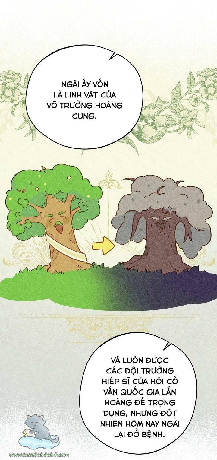 Trang Trại Hạt Dẻ Gần Cung Điện Hoàng Gia Chương 15 page 51 - Giả Dược