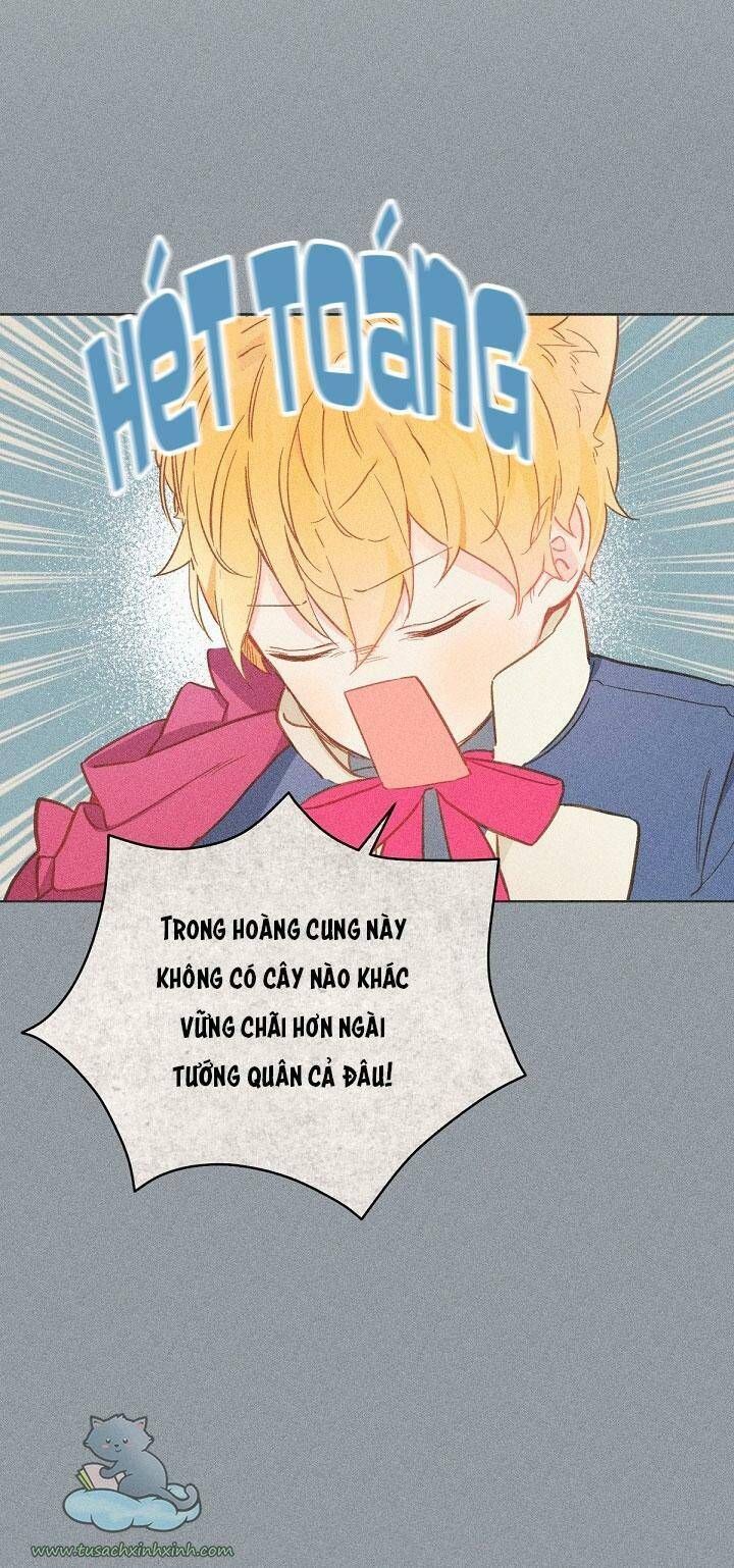 Trang Trại Hạt Dẻ Gần Cung Điện Hoàng Gia Chương 16 page 35 - Giả Dược