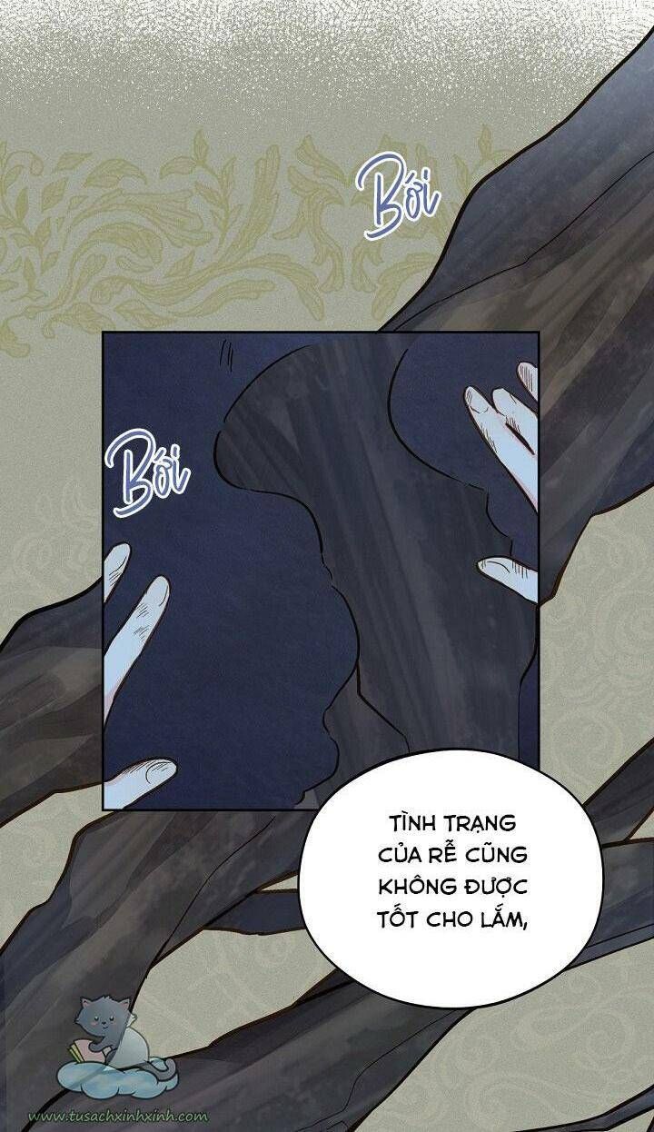 Trang Trại Hạt Dẻ Gần Cung Điện Hoàng Gia Chương 16 page 56 - Giả Dược