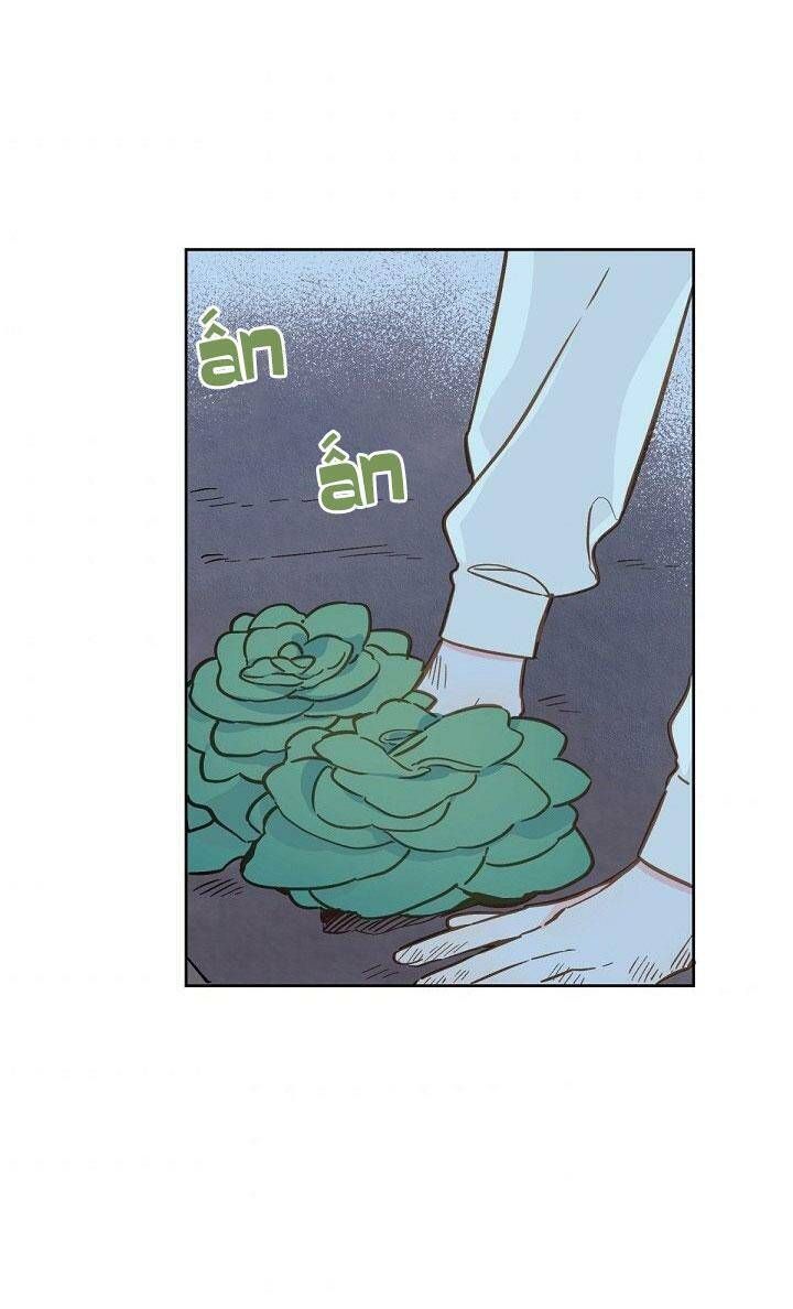 Trang Trại Hạt Dẻ Gần Cung Điện Hoàng Gia Chương 16 page 61 - Giả Dược