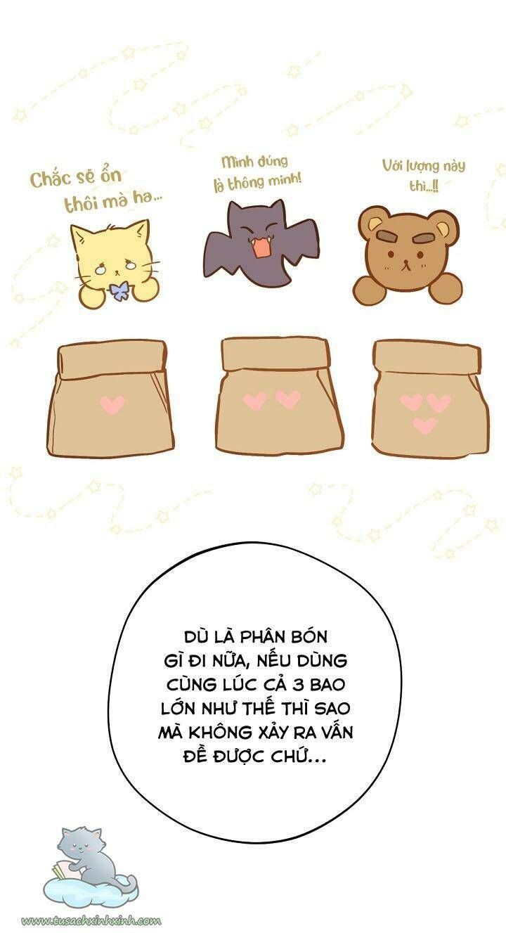 Trang Trại Hạt Dẻ Gần Cung Điện Hoàng Gia Chương 17 page 19 - Giả Dược