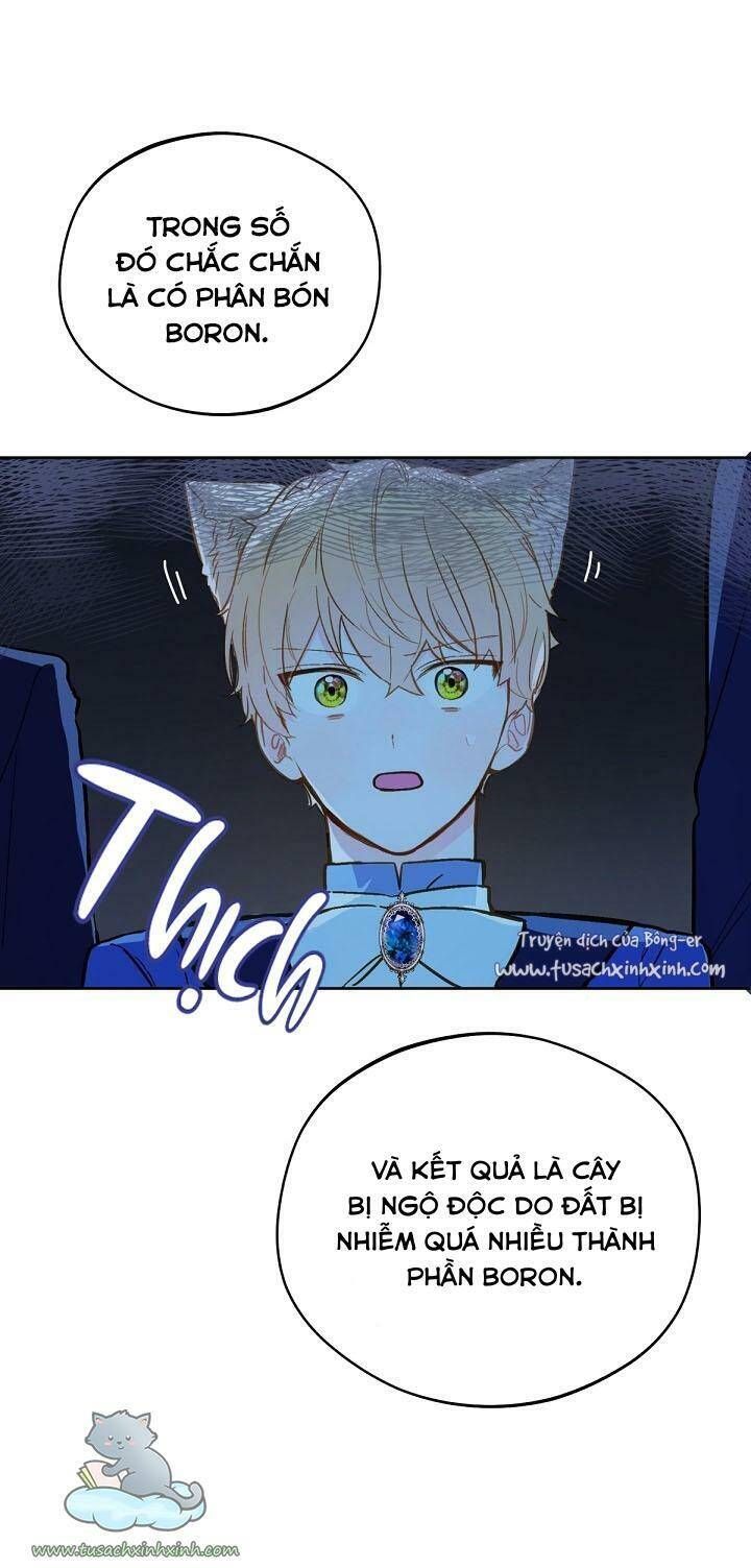 Trang Trại Hạt Dẻ Gần Cung Điện Hoàng Gia Chương 17 page 20 - Giả Dược