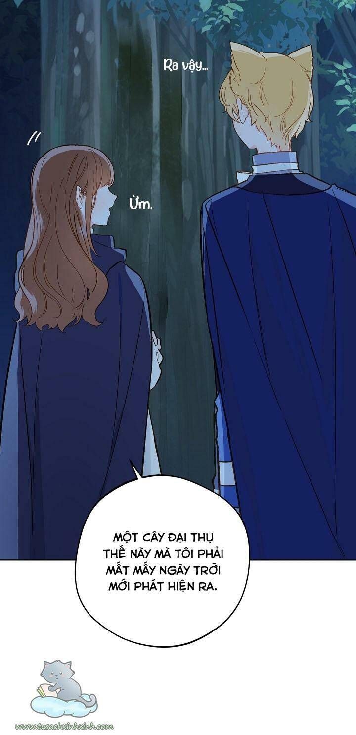 Trang Trại Hạt Dẻ Gần Cung Điện Hoàng Gia Chương 17 page 23 - Giả Dược