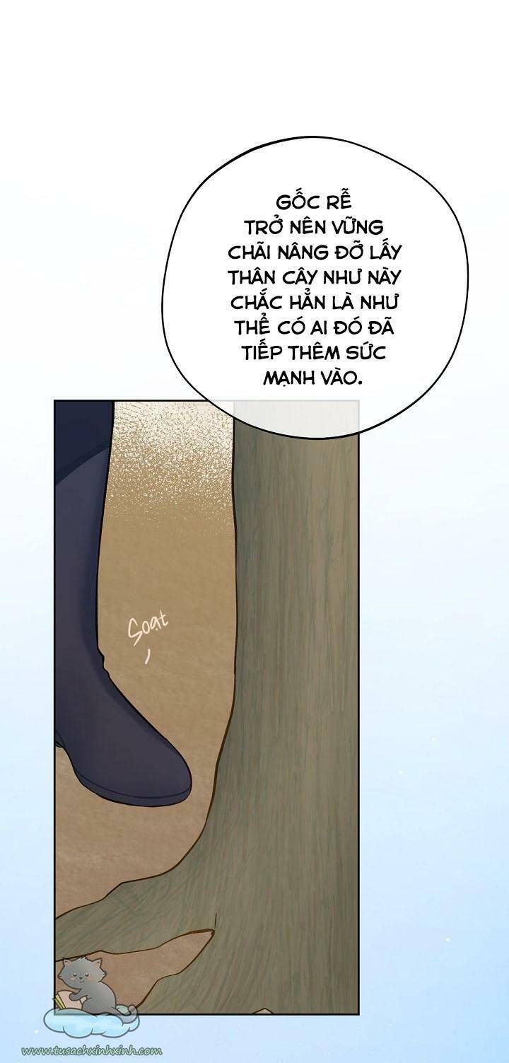 Trang Trại Hạt Dẻ Gần Cung Điện Hoàng Gia Chương 17 page 52 - Giả Dược