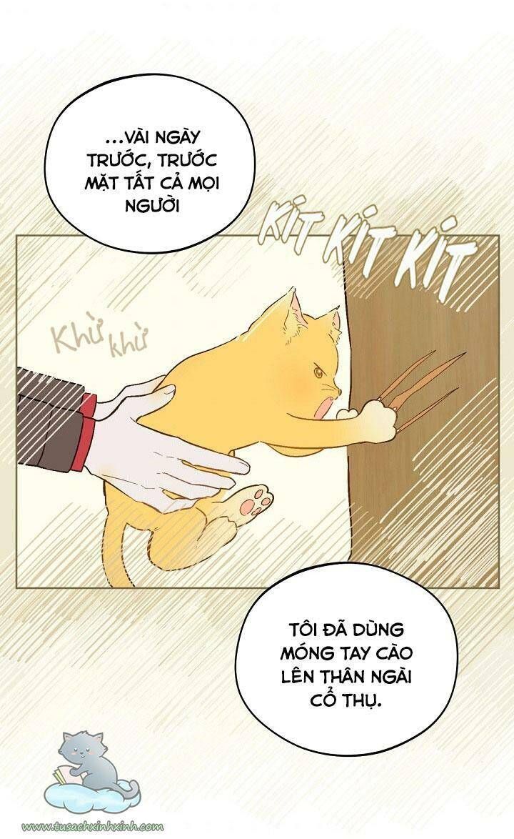 Trang Trại Hạt Dẻ Gần Cung Điện Hoàng Gia Chương 17 page 7 - Giả Dược