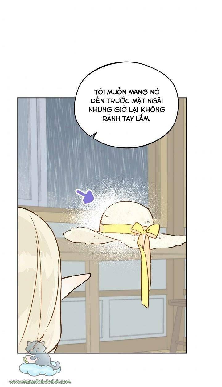Trang Trại Hạt Dẻ Gần Cung Điện Hoàng Gia Chương 19 page 44 - Giả Dược