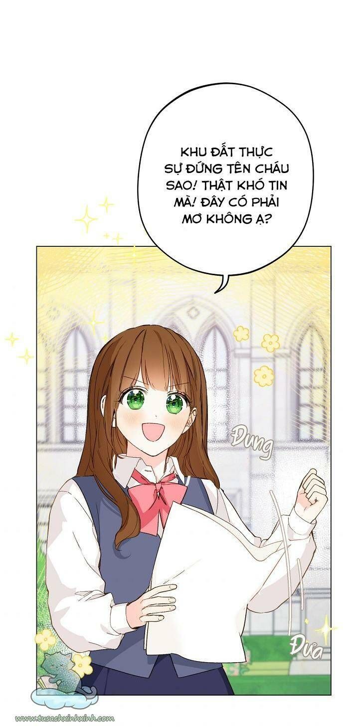 Trang Trại Hạt Dẻ Gần Cung Điện Hoàng Gia Chương 2 page 79 - Giả Dược