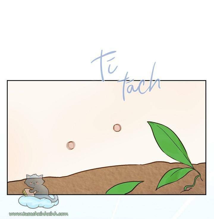 Trang Trại Hạt Dẻ Gần Cung Điện Hoàng Gia Chương 20 page 52 - Giả Dược