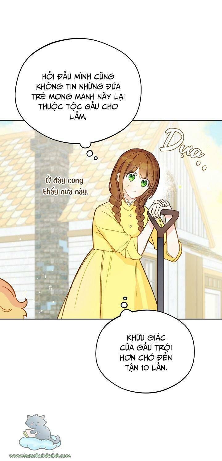 Trang Trại Hạt Dẻ Gần Cung Điện Hoàng Gia Chương 20 page 54 - Giả Dược