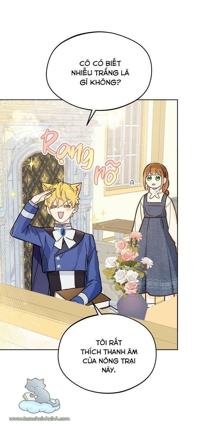 Trang Trại Hạt Dẻ Gần Cung Điện Hoàng Gia Chương 22 page 21 - Giả Dược