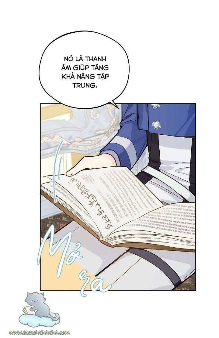 Trang Trại Hạt Dẻ Gần Cung Điện Hoàng Gia Chương 22 page 22 - Giả Dược