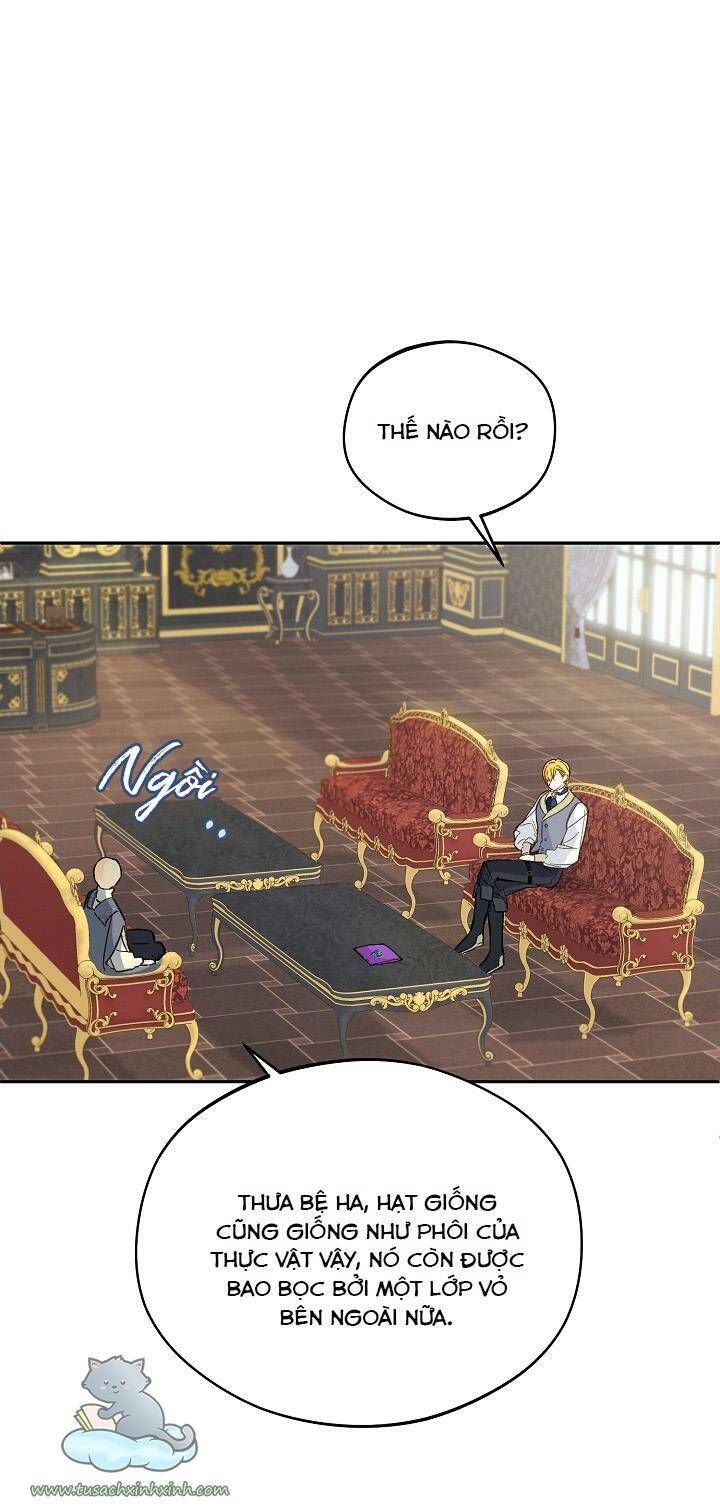 Trang Trại Hạt Dẻ Gần Cung Điện Hoàng Gia Chương 24 page 18 - Giả Dược