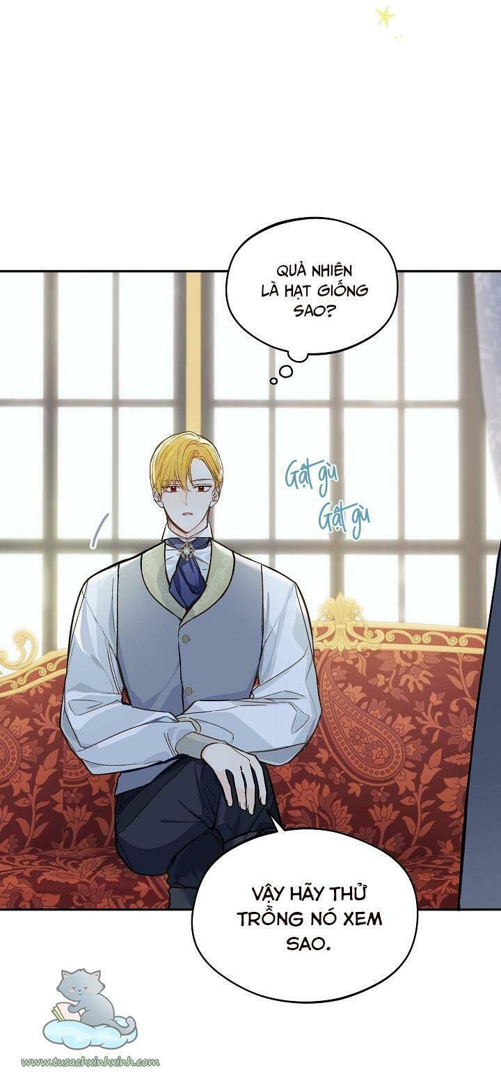 Trang Trại Hạt Dẻ Gần Cung Điện Hoàng Gia Chương 24 page 20 - Giả Dược