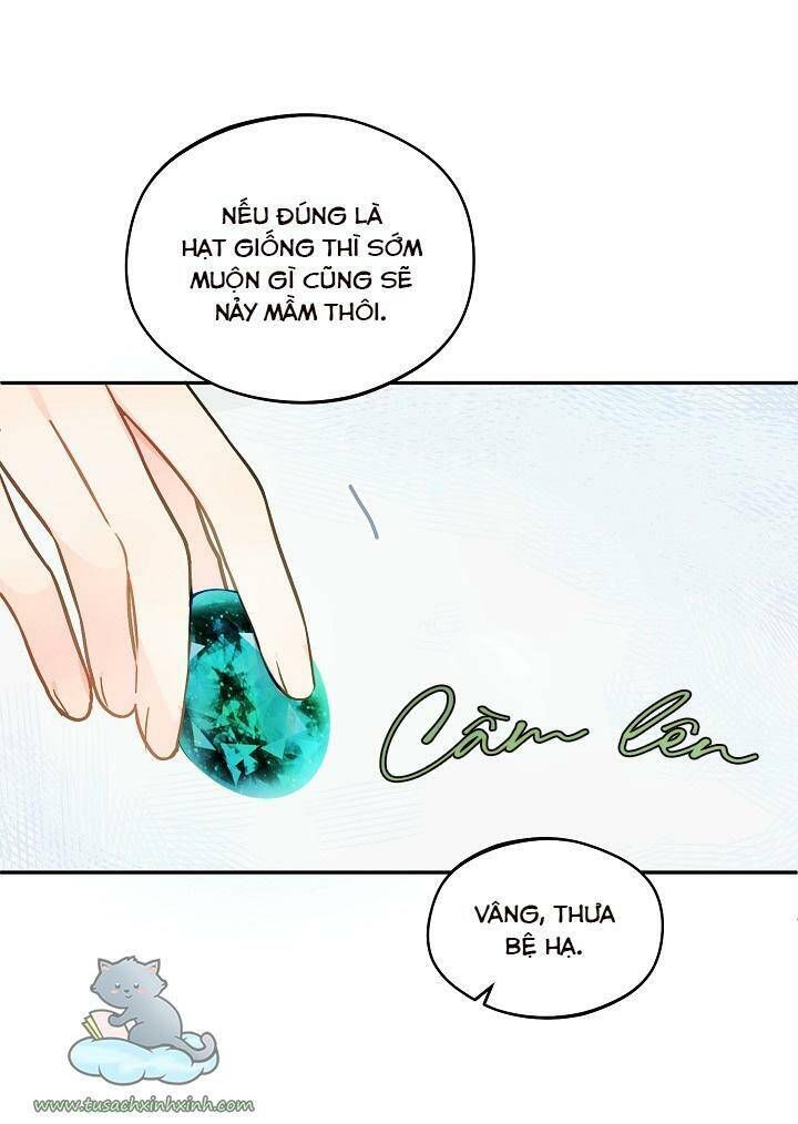 Trang Trại Hạt Dẻ Gần Cung Điện Hoàng Gia Chương 24 page 21 - Giả Dược