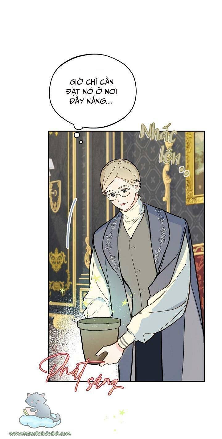 Trang Trại Hạt Dẻ Gần Cung Điện Hoàng Gia Chương 24 page 22 - Giả Dược