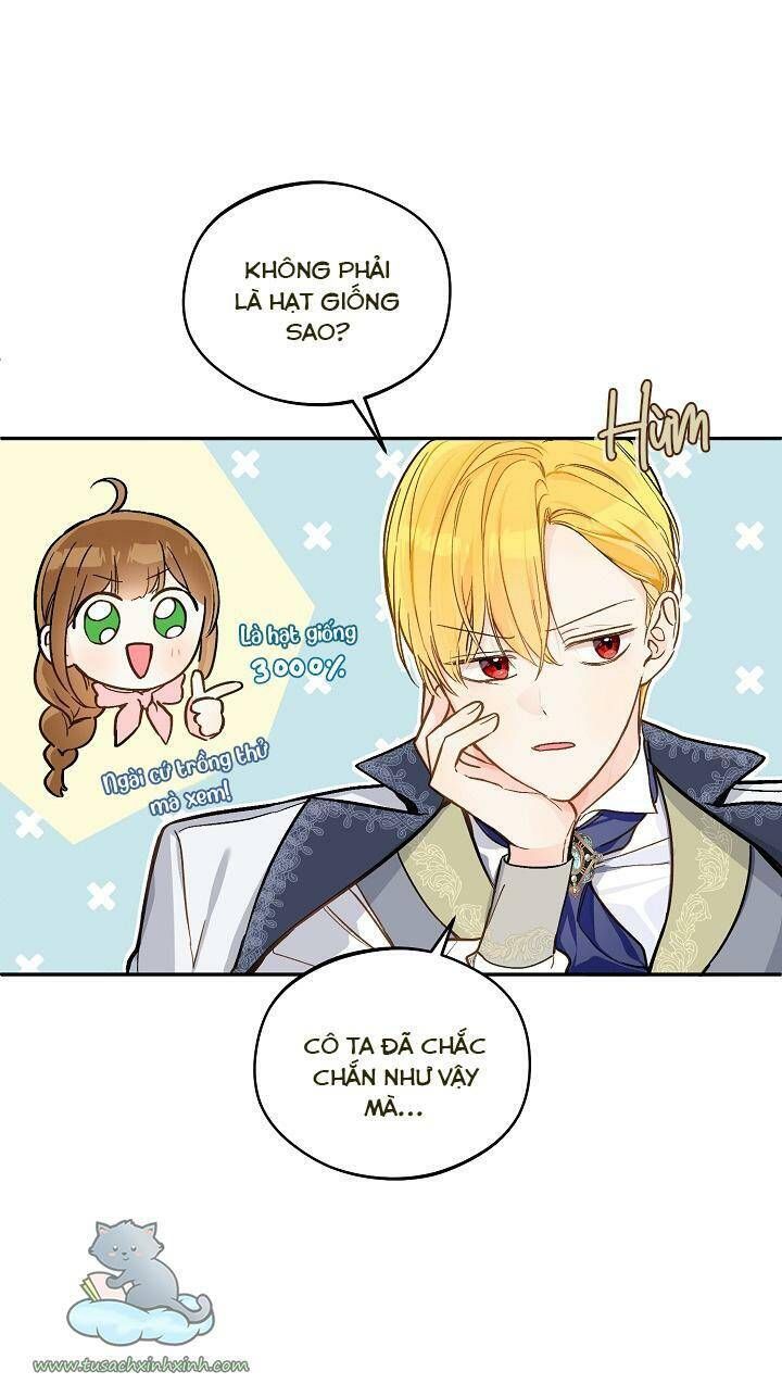 Trang Trại Hạt Dẻ Gần Cung Điện Hoàng Gia Chương 24 page 28 - Giả Dược