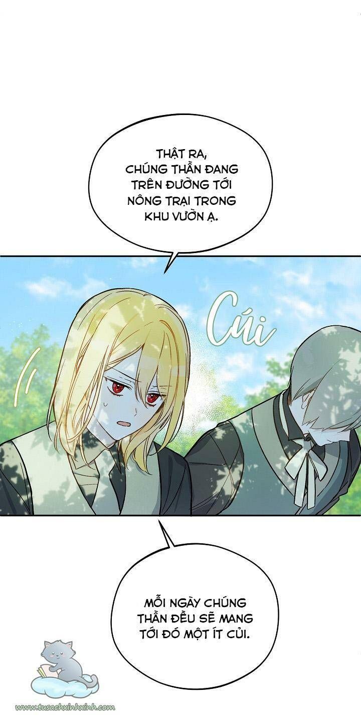 Trang Trại Hạt Dẻ Gần Cung Điện Hoàng Gia Chương 24 page 46 - Giả Dược