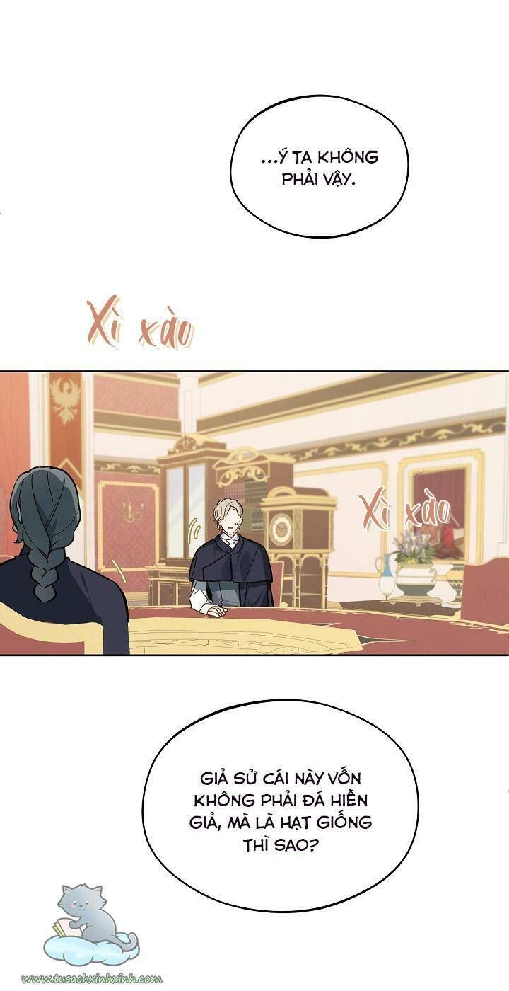 Trang Trại Hạt Dẻ Gần Cung Điện Hoàng Gia Chương 24 page 9 - Giả Dược