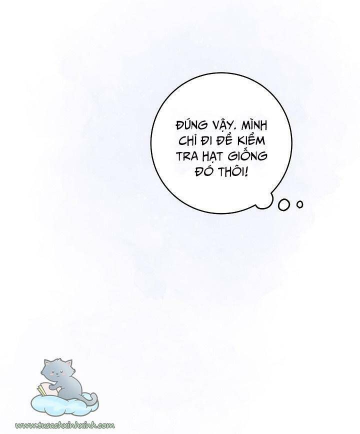 Trang Trại Hạt Dẻ Gần Cung Điện Hoàng Gia Chương 25 page 14 - Giả Dược