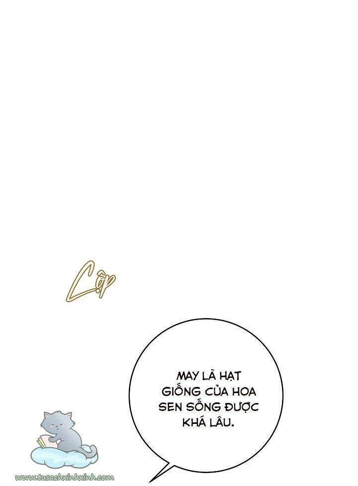 Trang Trại Hạt Dẻ Gần Cung Điện Hoàng Gia Chương 25 page 19 - Giả Dược
