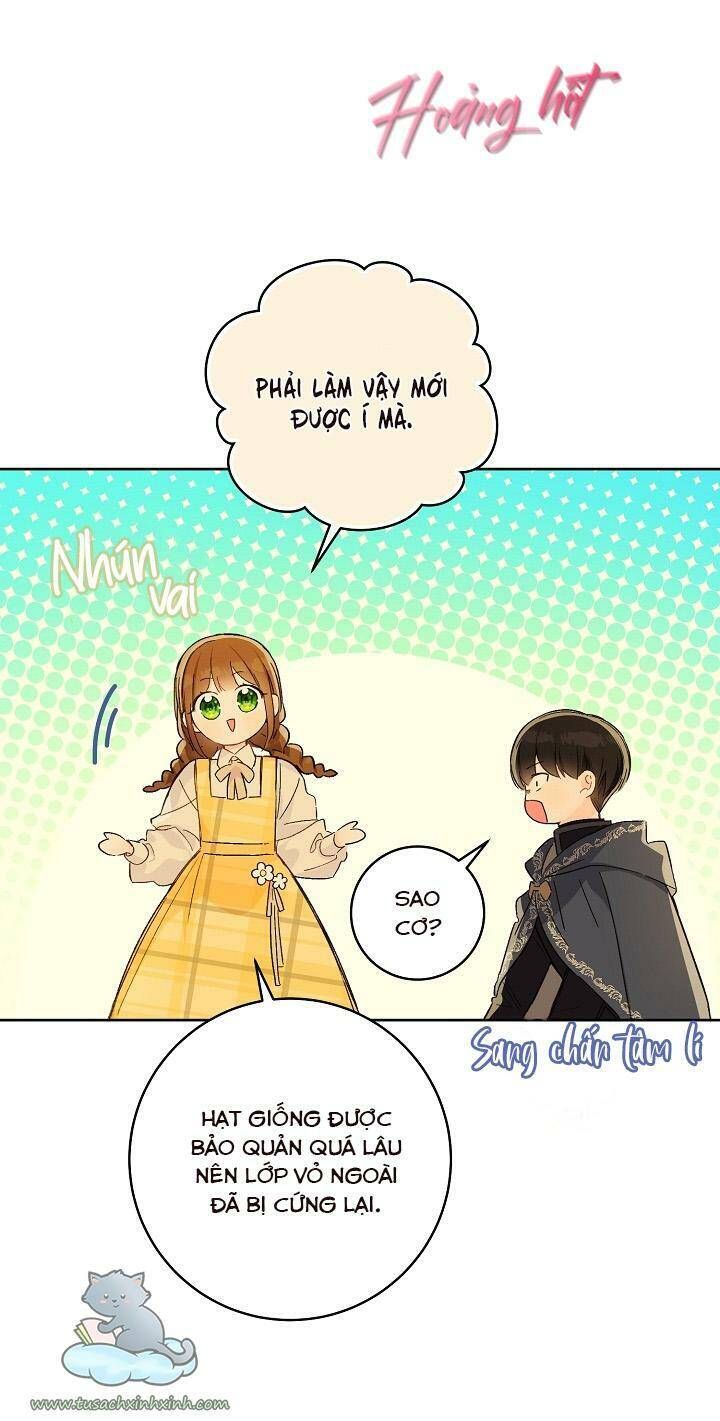 Trang Trại Hạt Dẻ Gần Cung Điện Hoàng Gia Chương 25 page 24 - Giả Dược
