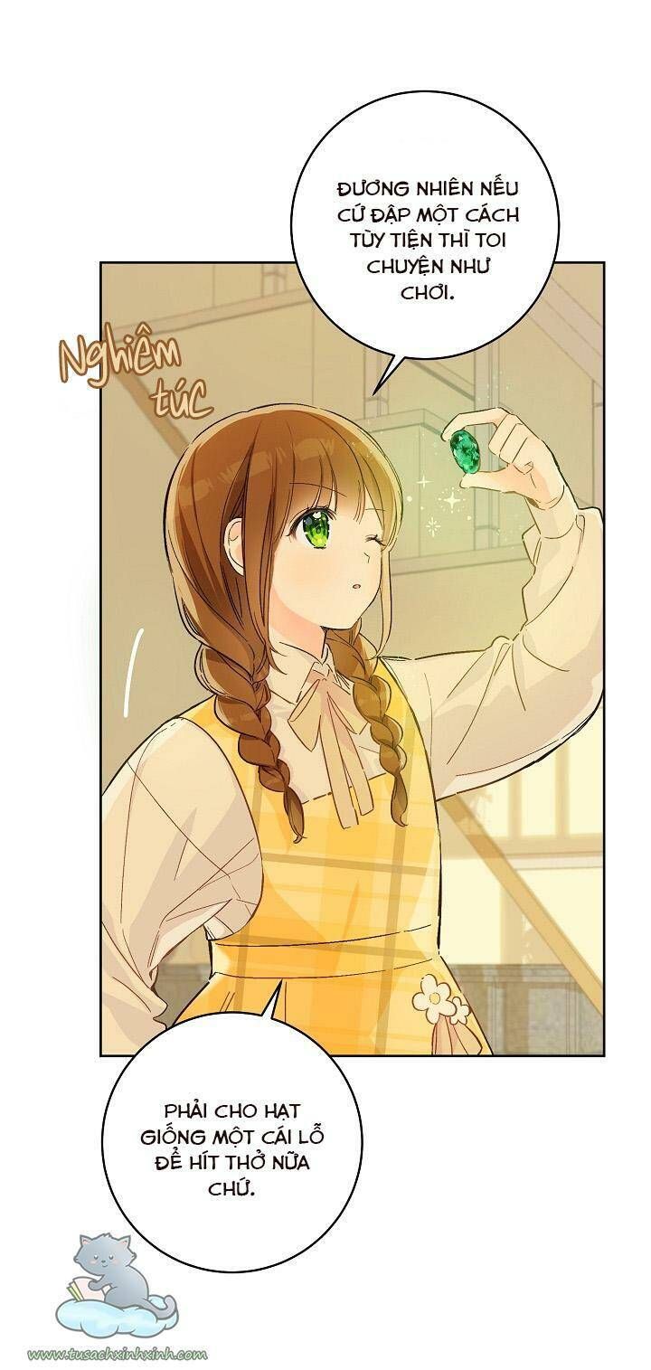 Trang Trại Hạt Dẻ Gần Cung Điện Hoàng Gia Chương 25 page 25 - Giả Dược