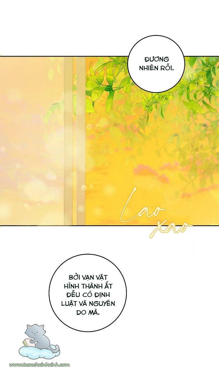 Trang Trại Hạt Dẻ Gần Cung Điện Hoàng Gia Chương 25 page 44 - Giả Dược