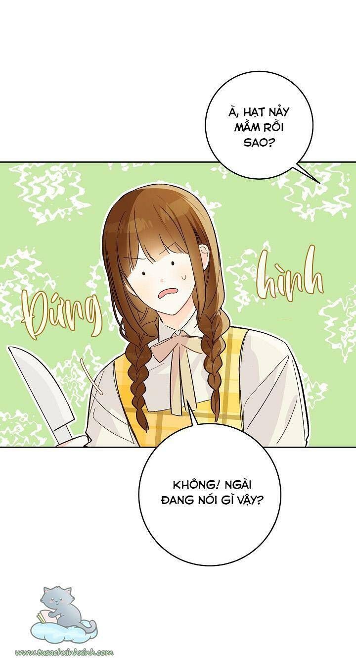 Trang Trại Hạt Dẻ Gần Cung Điện Hoàng Gia Chương 25 page 60 - Giả Dược