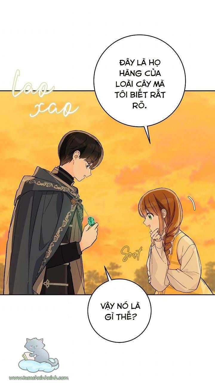 Trang Trại Hạt Dẻ Gần Cung Điện Hoàng Gia Chương 25 page 7 - Giả Dược