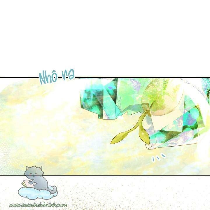 Trang Trại Hạt Dẻ Gần Cung Điện Hoàng Gia Chương 26 page 52 - Giả Dược