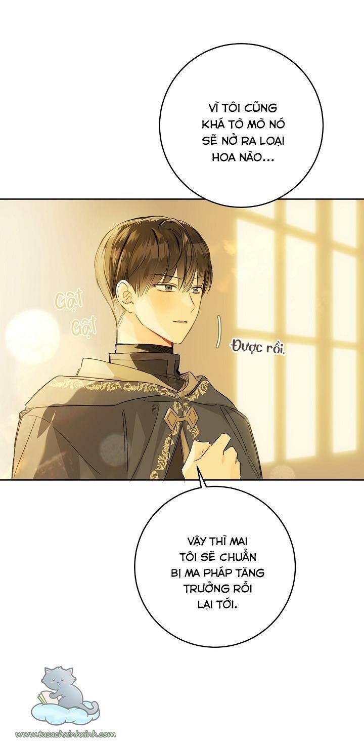 Trang Trại Hạt Dẻ Gần Cung Điện Hoàng Gia Chương 26 page 78 - Giả Dược