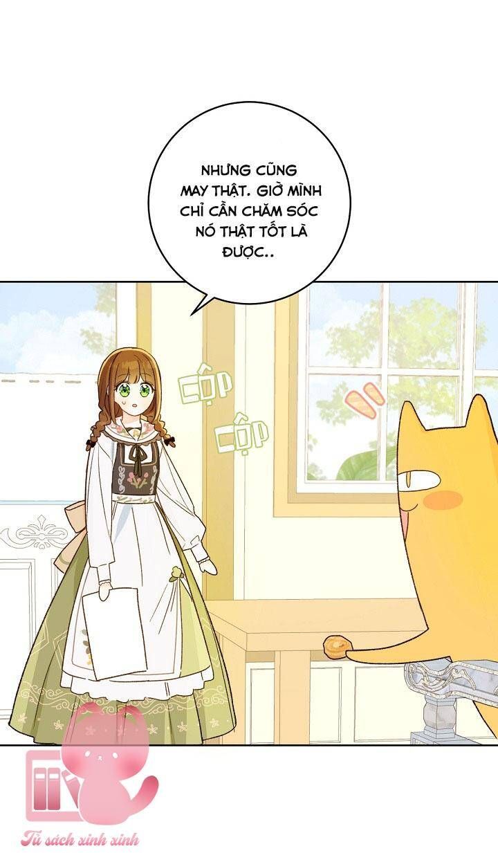 Trang Trại Hạt Dẻ Gần Cung Điện Hoàng Gia Chương 28 page 61 - Giả Dược