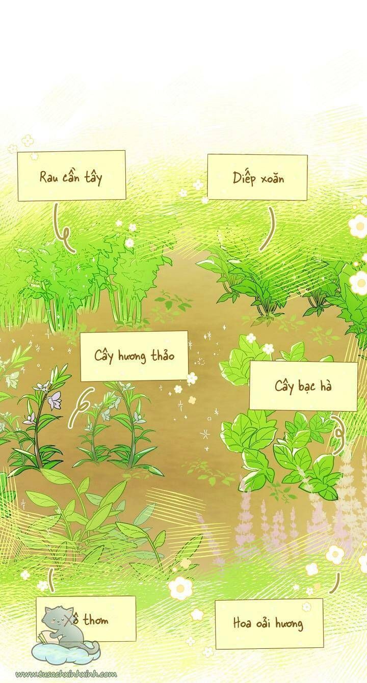 Trang Trại Hạt Dẻ Gần Cung Điện Hoàng Gia Chương 4 page 13 - Giả Dược