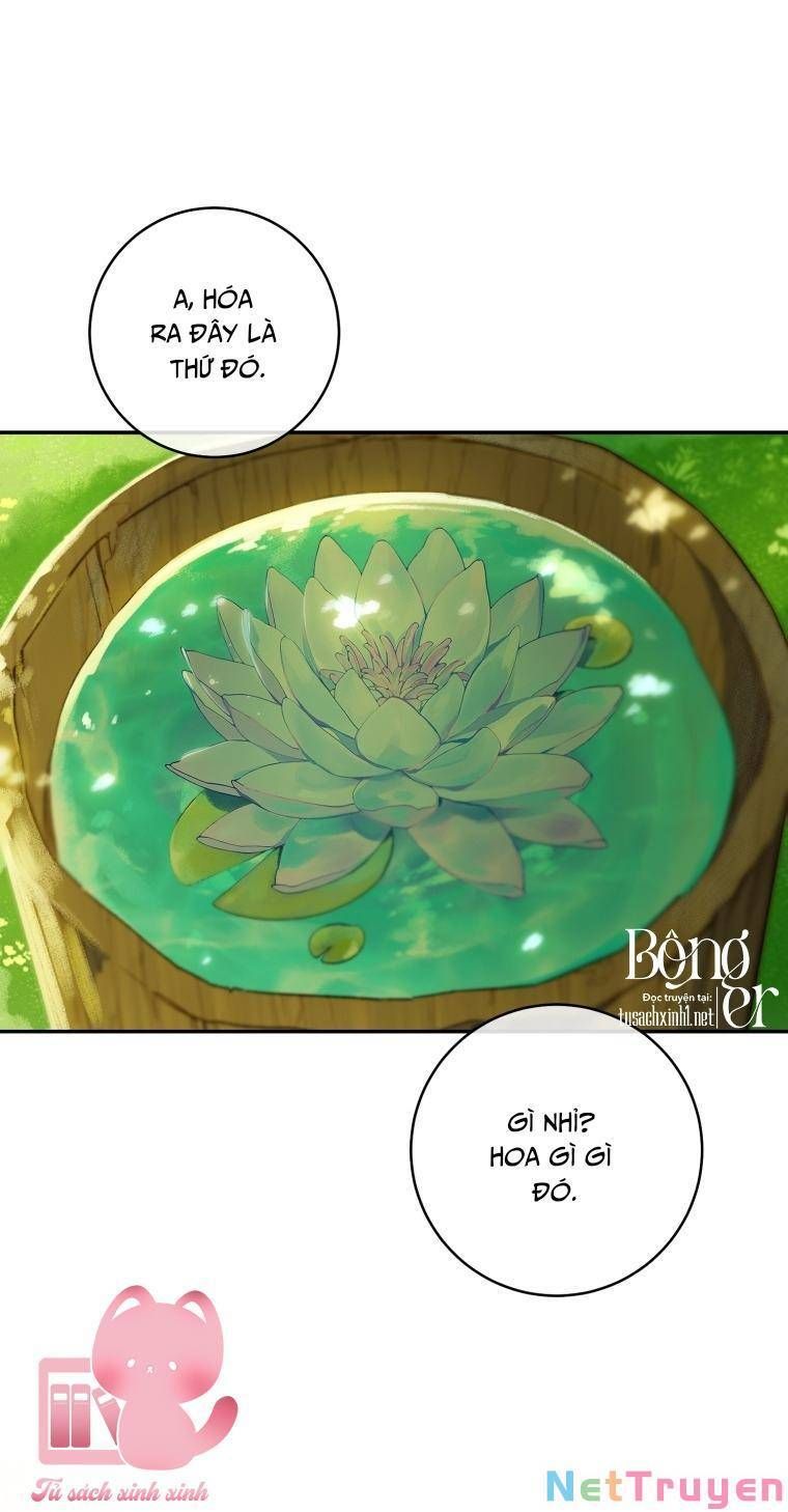 Trang Trại Hạt Dẻ Gần Cung Điện Hoàng Gia Chương 44 page 26 - Giả Dược