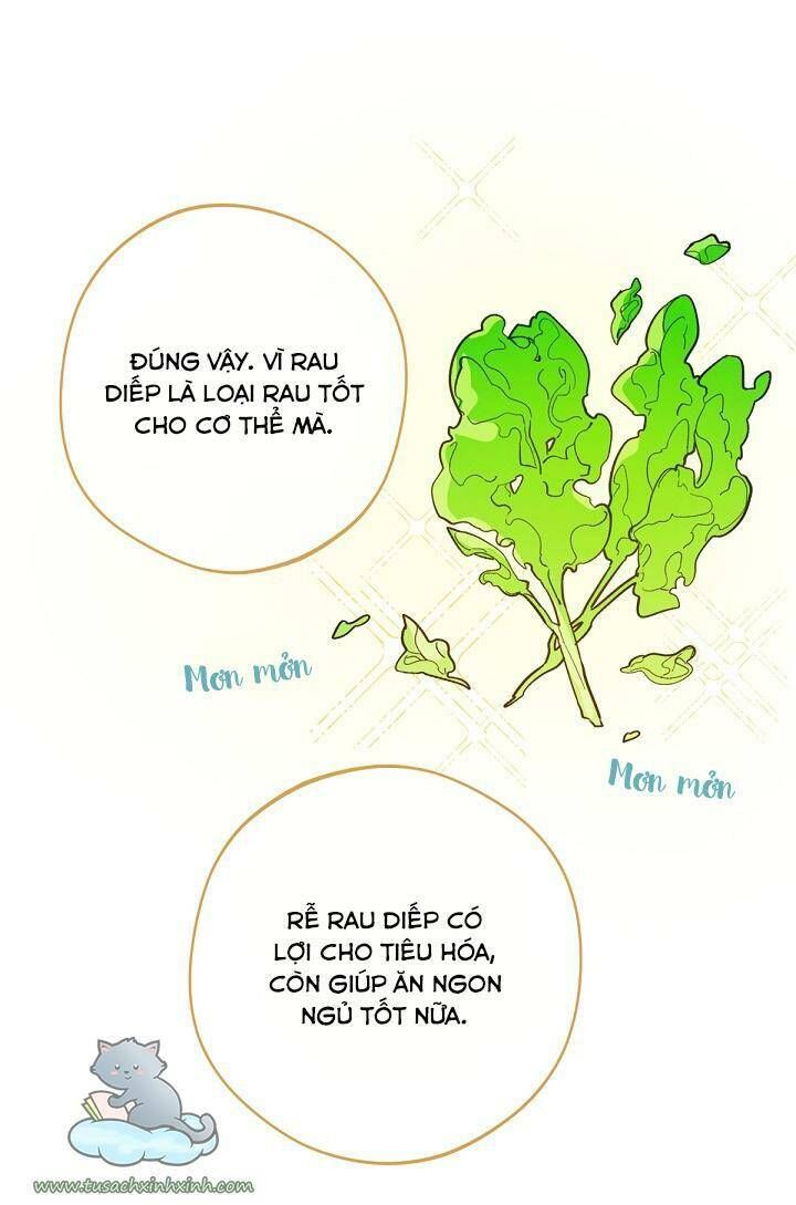 Trang Trại Hạt Dẻ Gần Cung Điện Hoàng Gia Chương 7 page 52 - Giả Dược