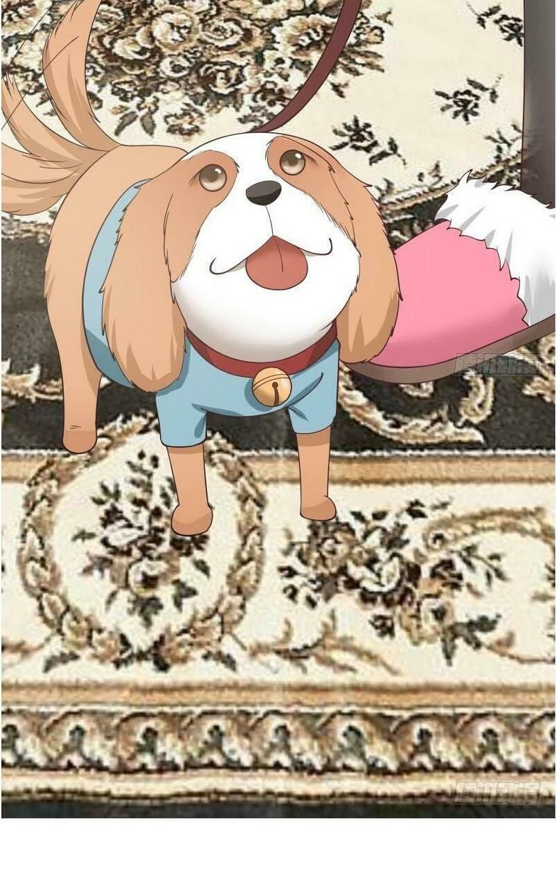 đọc truyện Trên Người Ta Có Một Con Rồng Chương 172 ảnh 5 tại Thiên Thai Truyện