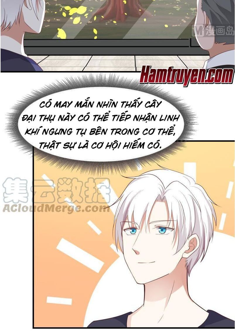 đọc truyện Trên Người Ta Có Một Con Rồng Chương 219 ảnh 21 tại Thiên Thai Truyện