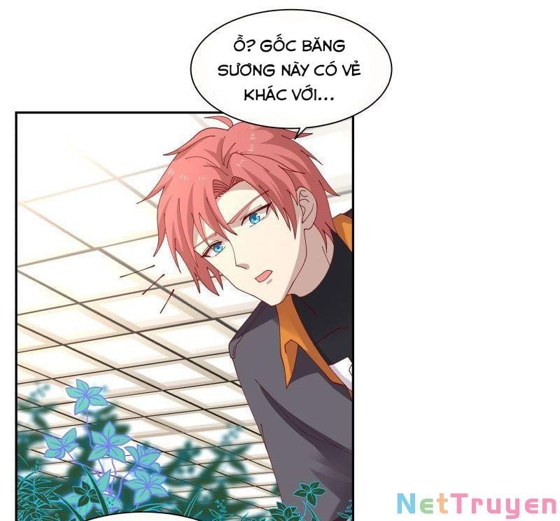 đọc truyện Trên Người Ta Có Một Con Rồng Chương 392 ảnh 5 tại Thiên Thai Truyện