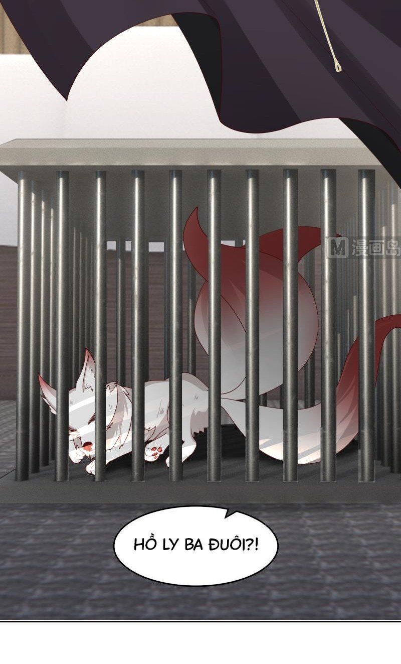 đọc truyện Trên Người Ta Có Một Con Rồng Chương 468 ảnh 4 tại Thiên Thai Truyện