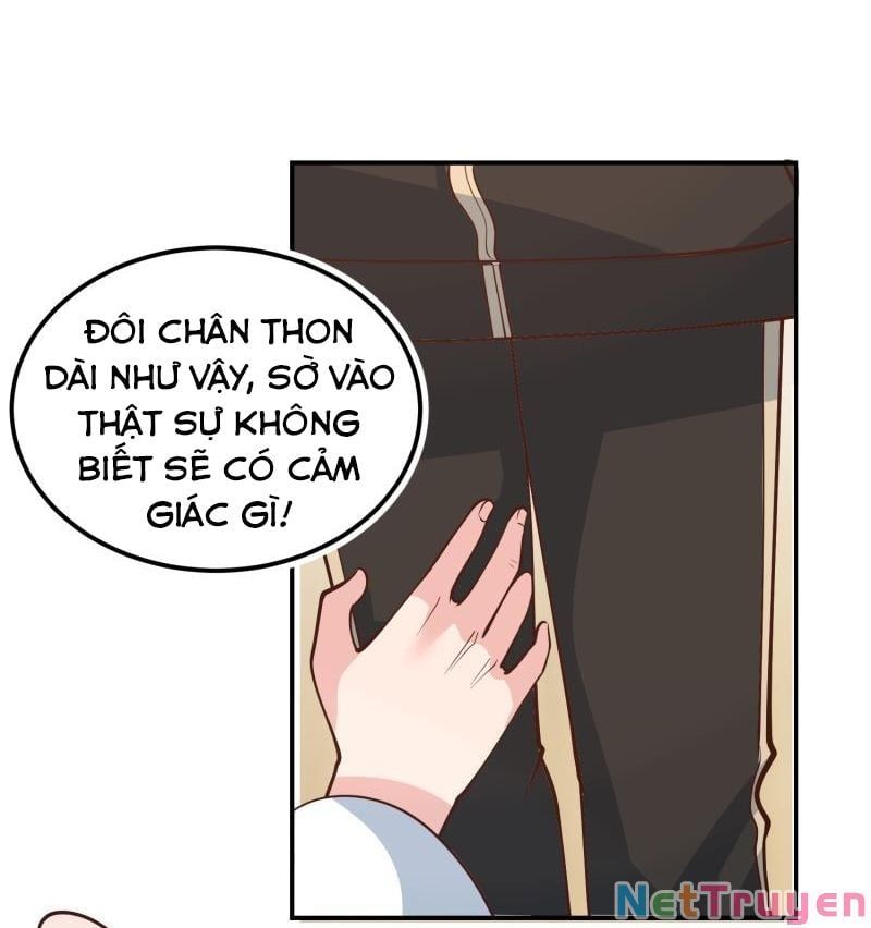 đọc truyện Trên Người Ta Có Một Con Rồng Chương 507 ảnh 11 tại Thiên Thai Truyện