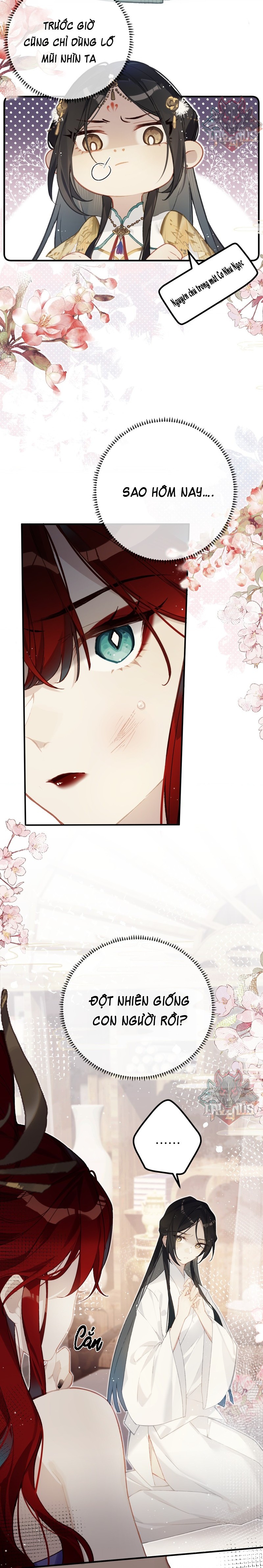 đọc truyện Triền Chi  Chương 2 ảnh 4 tại Thiên Thai Truyện