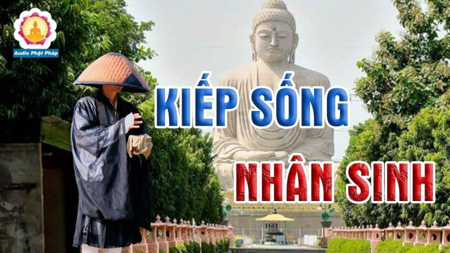 đọc truyện Trò Chơi Thụ Tinh Chương 0 ảnh 9 tại Thiên Thai Truyện